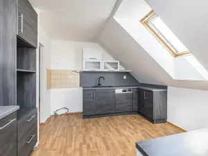 Prodej vícegeneračního domu, Mladá Boleslav, Viničná, 266 m2