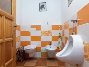 Prodej vícegeneračního domu, Skomelno, 284 m2