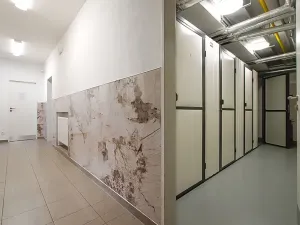 Pronájem atypického bytu, Třeboň, Svobody, 38 m2
