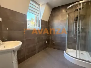 Prodej činžovního domu, Děčín, Kamenická, 261 m2