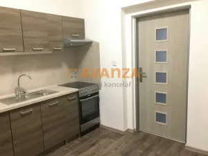 Prodej činžovního domu, Děčín, Kamenická, 261 m2