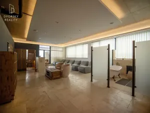 Prodej obchodního prostoru, Mladá Boleslav, Mileny Hážové, 4857 m2