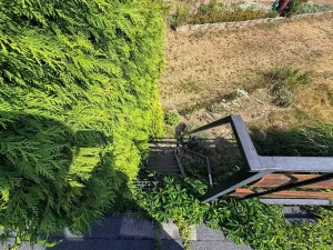 Prodej chaty, Týnišťko, 40 m2