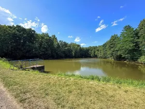 Prodej chaty, Týnišťko, 40 m2