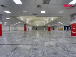 Pronájem obchodního prostoru, Plzeň - Východní Předměstí, Americká, 1603 m2