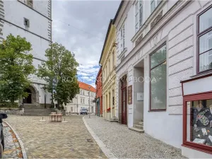 Pronájem obchodního prostoru, Třebíč, Hasskova, 127 m2