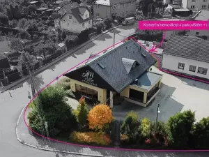 Prodej obchodního prostoru, Ostrava, 309 m2