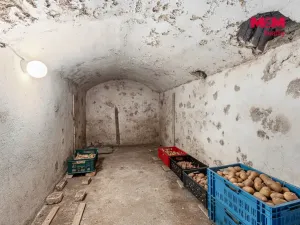 Prodej rodinného domu, Líšťany, Zlatá Ulička, 272 m2