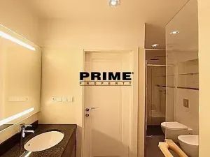 Pronájem bytu 6+kk a větší, Praha - Vinohrady, Chopinova, 204 m2