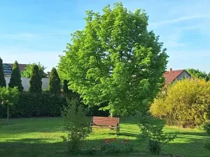Prodej rodinného domu, Cvrčovice, Školní, 168 m2