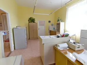 Prodej vily, Hostouň, Petra Bezruče, 320 m2