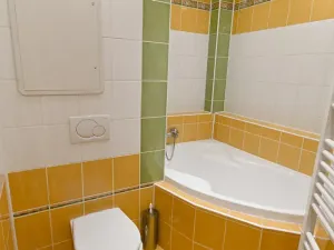 Prodej bytu 1+1, Klenčí pod Čerchovem, 32 m2