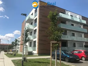 Pronájem bytu 1+kk, Olomouc, Třída Jiřího Pelikána, 32 m2