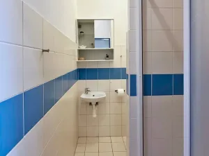 Pronájem bytu 1+kk, Brno, Cejl, 24 m2
