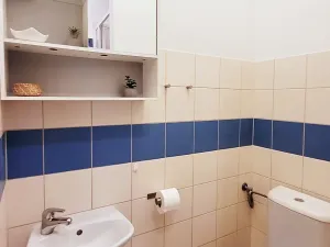 Pronájem bytu 1+kk, Brno, Cejl, 24 m2