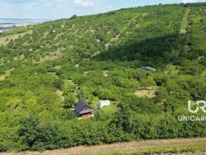 Prodej pole, Židlochovice, 3851 m2