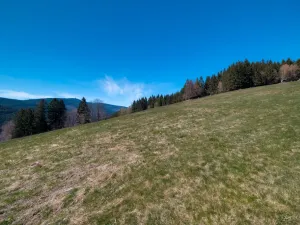 Prodej rodinného domu, Krásná, 105 m2