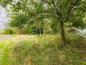 Prodej zahrady, Malé Žernoseky, 1568 m2