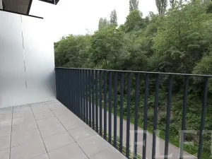 Pronájem bytu 1+kk, Praha - Žižkov, Hartigova, 48 m2