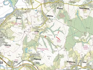 Prodej pole, Mistřice, 6808 m2