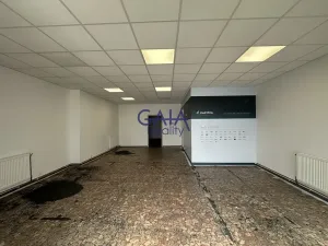 Prodej obchodního prostoru, Strážnice, Předměstí, 190 m2