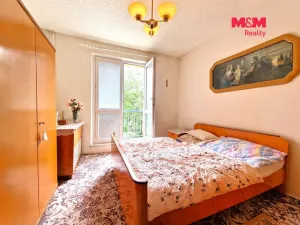 Prodej bytu 3+1, Opava - Předměstí, Purkyňova, 55 m2