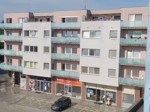 Pronájem bytu 2+1, Pardubice, třída Míru, 66 m2