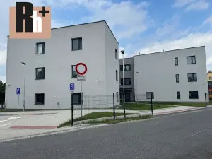 Prodej bytu 1+1, Ostrava, Opavská, 46 m2