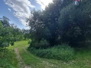 Prodej pozemku pro bydlení, Světlá Hora - Dětřichovice, 3506 m2