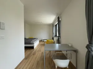 Pronájem bytu 1+kk, Písek - Pražské Předměstí, Pražská, 36 m2