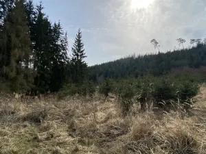 Prodej louky, Městečko Trnávka - Lázy, 1410 m2