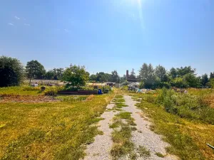 Pronájem zahrady, Dolní Bousov, 50 m2