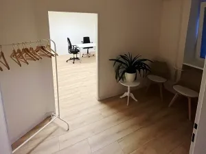 Pronájem ordinace, Brno, Kopečná, 29 m2