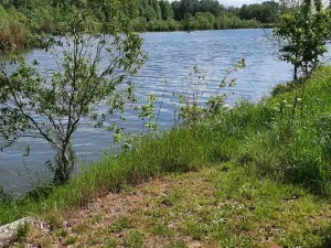 Prodej rybníku, Bulhary, 350 m2