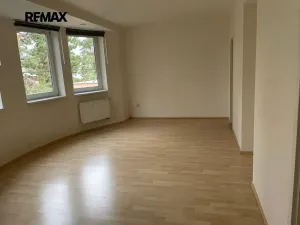 Pronájem bytu 5+kk, Praha - Hodkovičky, Údolní, 182 m2