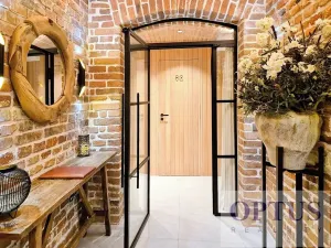 Pronájem bytu 6+kk a větší, Praha - Staré Město, Dušní, 380 m2