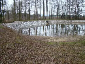 Pronájem rybníku, Třebíč, 4209 m2