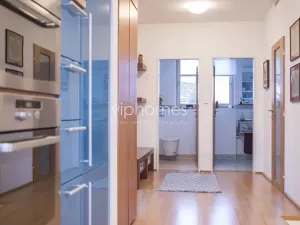 Pronájem bytu 4+kk, Praha - Braník, Vlnitá, 175 m2