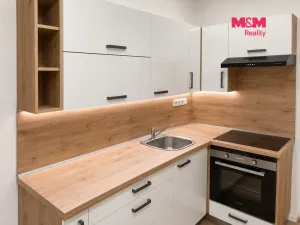 Pronájem bytu 1+1, Malé Svatoňovice, Nádražní, 35 m2