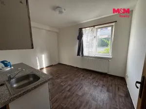 Pronájem bytu 1+kk, Mělník, Mladoboleslavská, 19 m2