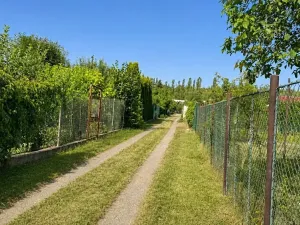 Prodej zahrady, Most, Pionýrů, 400 m2