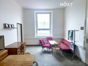 Pronájem výrobních prostor, Dětřichov, 6890 m2