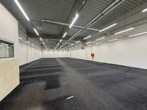Pronájem obchodního prostoru, Cheb, Pražská, 615 m2