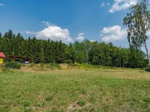 Prodej pozemku pro bydlení, Čistá, 10141 m2