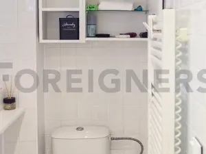 Pronájem bytu 1+kk, Praha, Myslbekova, 25 m2