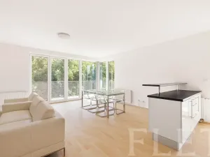 Pronájem bytu 3+kk, Praha - Hodkovičky, U Zátiší, 109 m2