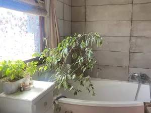Prodej rodinného domu, Jivina, 70 m2
