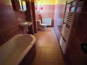 Prodej obchodního prostoru, Javorník, Míru, 370 m2
