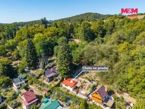 Prodej chaty, Kaliště - Poddubí, Skokanovo, 40 m2