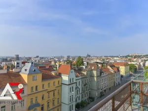 Prodej bytu 2+1, Brno, Merhautova, 63 m2
